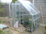 greenhouse 1.jpg