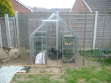 greenhouse 2.jpg