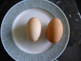 pointy eggs.jpg