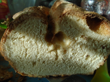 bubbless bread1.JPG