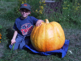 Ben with Pumpkin.jpg