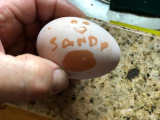 egg name sandy 1-2018.jpg