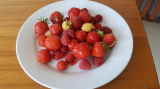 Strawberries and Raspberries 2020.jpg