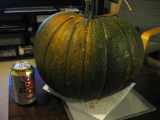 Pumpkin-01.jpg