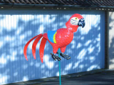 Polly the parrot flag.jpg