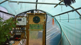 Polytunnel Ventilation Watering Control.jpg