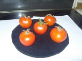 Show tomatoes 002.jpg