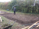 12, our first polytunnel.JPG