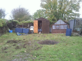 Shed up jungle cleared.jpg