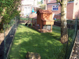Hens new enclosure finished 011 (508 x 381).jpg