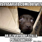Dog in box.png