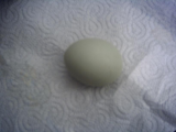 blue egg from Nando.JPG
