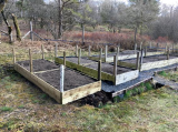 2359 raised beds topped up ready to sow.jpg