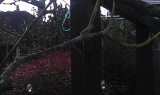 mistletoe icicles1.jpg
