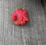 strawberry misshape.jpg