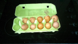 First eggs 2014!.jpg