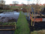 picture 3 allotment.jpg