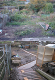 Allotment  photo comp rs.jpg