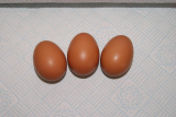 Brown Eggs 01.jpg