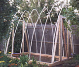 PVC greenhouse2.jpg