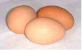 blackrock eggs.png