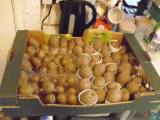 Potatoes 02 S.jpg