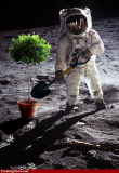 Planting-Tree-on-the-Moon--57873.jpg