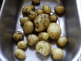 Swift potatoes.jpg