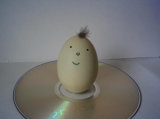 happy egg feb 11.JPG