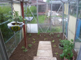 greenhouse after.jpg