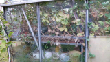 greenhouse before.jpg