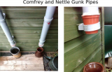 Comfrey gunk pipe.jpg