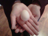 first egg.jpg