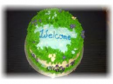 welcome cake.png
