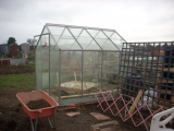 (22)greenhouse and berry fence.jpg