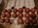 Eggs waiting to be posted.jpg