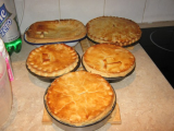 pies1.jpg