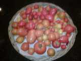 small tomatoes.JPG