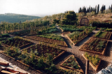 Italian-vegetable-garden.jpg