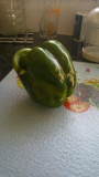 my pepper 2013 2.jpg