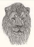 Lion.jpg