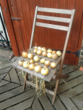 2014-08-04 (02) Onion Drying Chair.jpg
