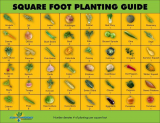 Square foot planting chart.jpg