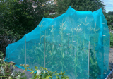new corn cage protection.jpg
