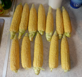 corn.jpg